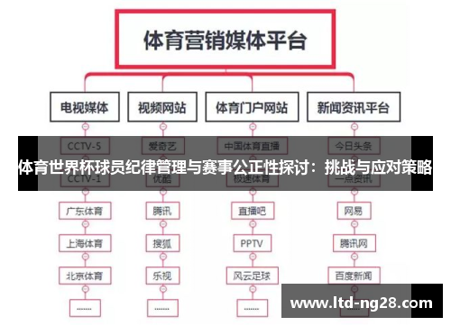 体育世界杯球员纪律管理与赛事公正性探讨：挑战与应对策略