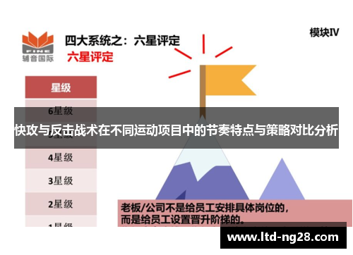 快攻与反击战术在不同运动项目中的节奏特点与策略对比分析