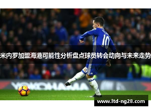 米内罗加盟海港可能性分析盘点球员转会动向与未来走势