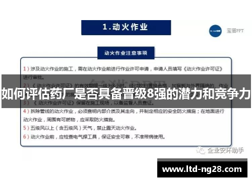 如何评估药厂是否具备晋级8强的潜力和竞争力