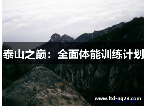 泰山之巅：全面体能训练计划
