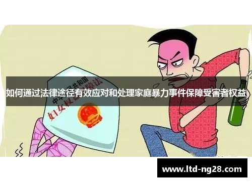 如何通过法律途径有效应对和处理家庭暴力事件保障受害者权益