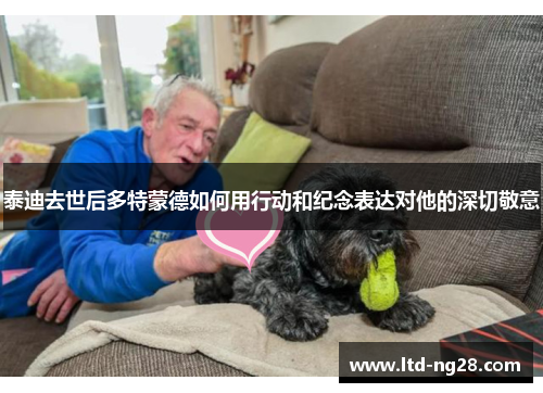 泰迪去世后多特蒙德如何用行动和纪念表达对他的深切敬意