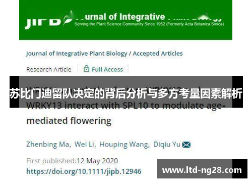 苏比门迪留队决定的背后分析与多方考量因素解析