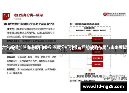 六名新援加盟海港原因解析 深度分析引援背后的战略布局与未来展望