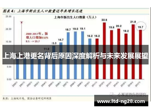 上海上港更名背后原因深度解析与未来发展展望
