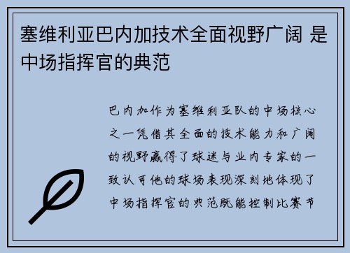 塞维利亚巴内加技术全面视野广阔 是中场指挥官的典范