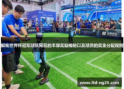 解密世界杯冠军球队背后的丰厚奖励揭秘以及球员的奖金分配规则