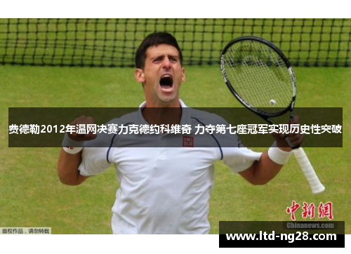 费德勒2012年温网决赛力克德约科维奇 力夺第七座冠军实现历史性突破 费德勒2012年温网决赛力克德约科维奇 力夺第七座冠军实现历史性突破