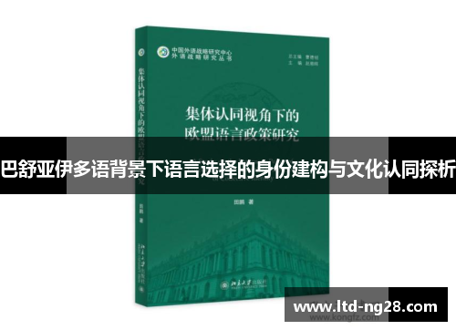 巴舒亚伊多语背景下语言选择的身份建构与文化认同探析 巴舒亚伊多语背景下语言选择的身份建构与文化认同探析