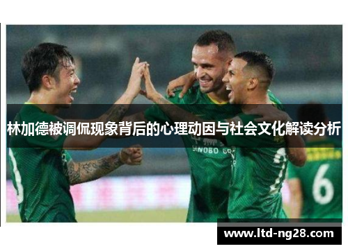 林加德被调侃现象背后的心理动因与社会文化解读分析